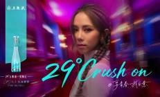 
        		邓紫棋代言！五粮液29度白酒上市：399元主打年轻人 !	