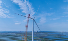 
        		全球最大！我国26兆瓦级海上风电机组成功吊装 !	