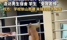 
        		贵州大学宿舍遇“辅导猿查寝” 学生“受宠若惊” 校方：闯入猴子系保护动物 只能驱赶 !	