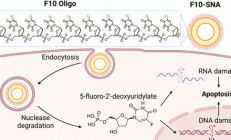科学家重构常见抗癌药物：使其疗效提升两万倍，同时副作用更低