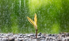 
        		假期出游 这些地方的天气需注意 !	