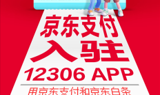 
        		京东支付宣布入驻12306！买火车票能打白条 至高立减27元 !	