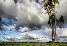 关于接受杨晓黎、王传海、史学斌、王国华辞职请求的决定